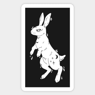 Aqua Lunar Rabbit (white) Magnet